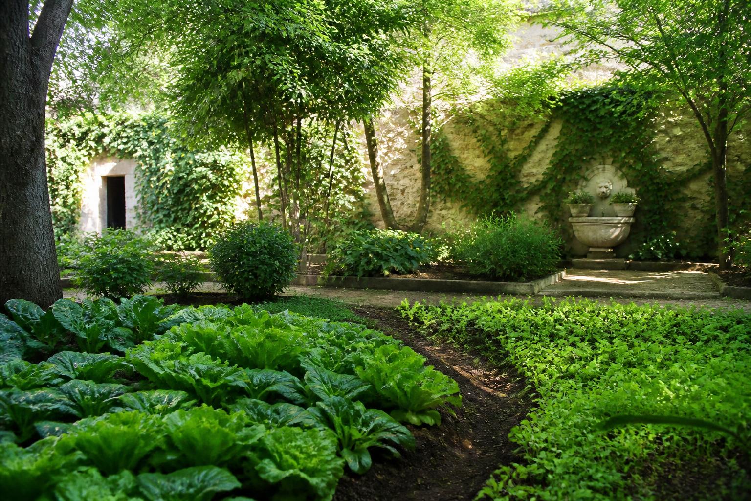 découvrez quels légumes peuvent pousser à l’ombre et apprenez des astuces simples pour les cultiver facilement dans votre jardin ombragé.