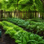 Featured image placeholder 16:9