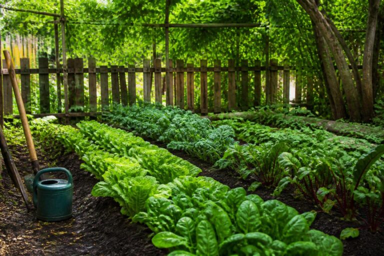 découvrez quels légumes peuvent pousser à l'ombre et apprenez des astuces simples pour les cultiver facilement dans votre jardin ombragé.