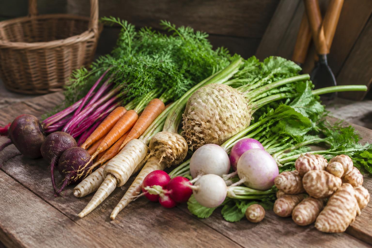 découvrez notre guide complet sur les légumes racines : conseils pratiques, astuces de culture et bienfaits pour une alimentation saine et savoureuse.