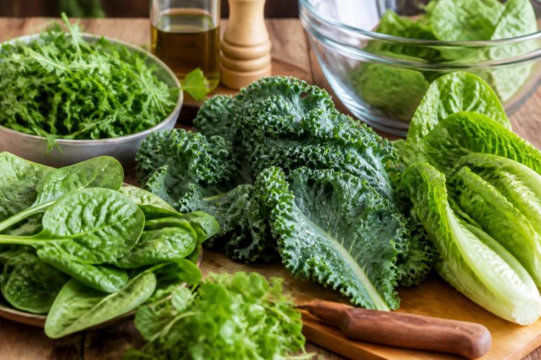 découvrez tout sur les légumes-feuilles : leurs bienfaits pour la santé, leurs saveurs uniques et des conseils pratiques pour les préparer facilement et savoureusement.