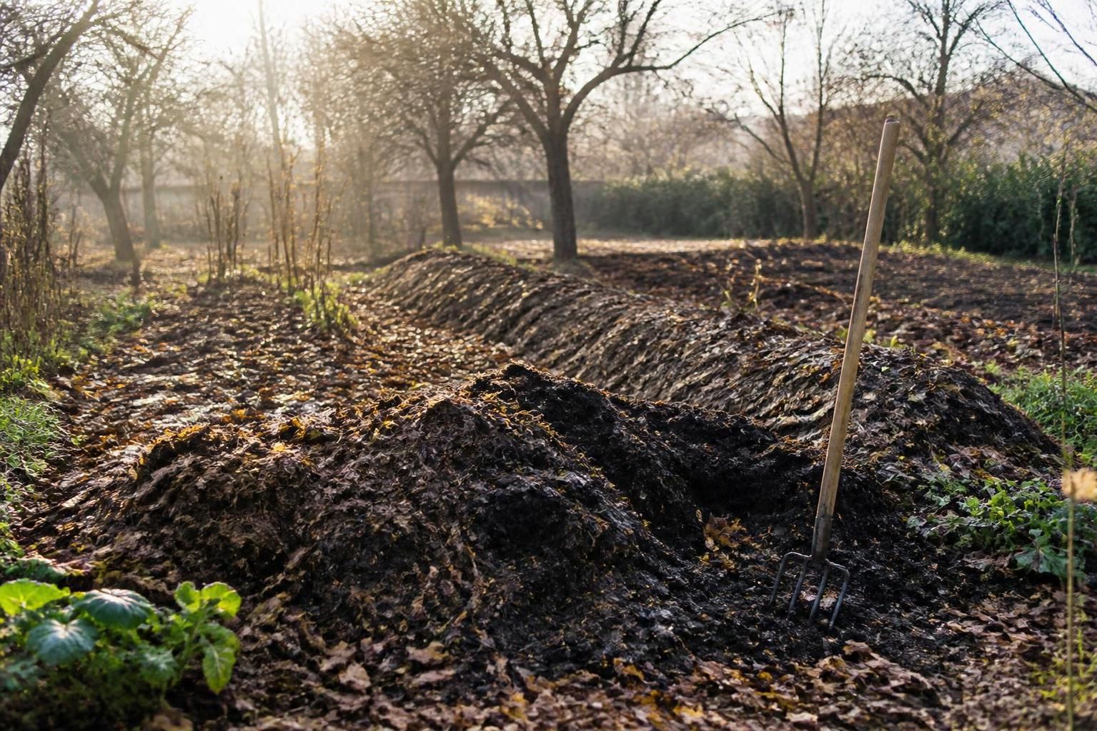 découvrez les astuces pour entretenir votre potager en hiver et préparer efficacement le printemps avec nos conseils pratiques et simples.