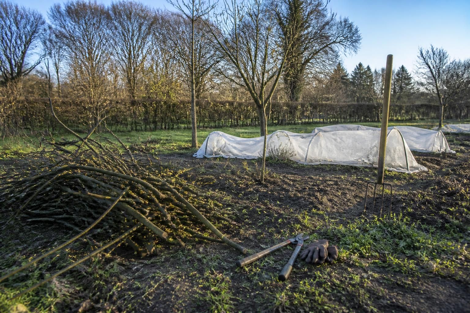 découvrez les actions essentielles à réaliser dans votre potager en hiver pour préparer un printemps florissant et une récolte abondante.