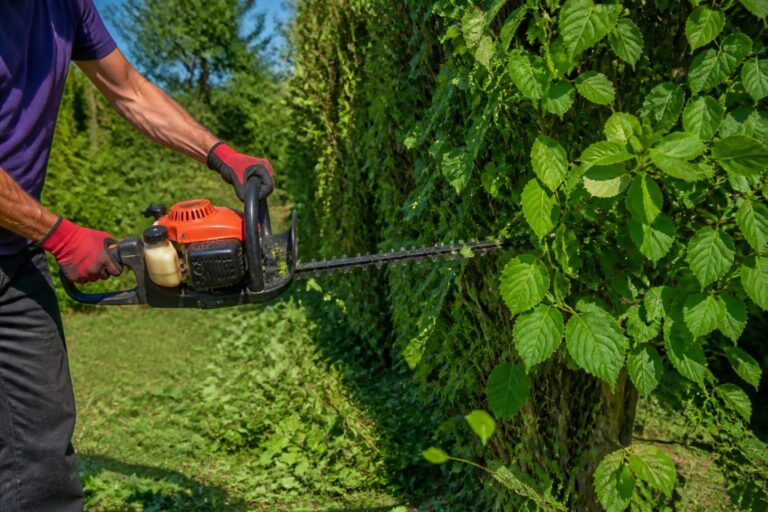 découvrez pourquoi choisir un taille-haie thermique pour tailler efficacement vos haies de noisetier, alliant puissance et précision pour un jardin impeccable.