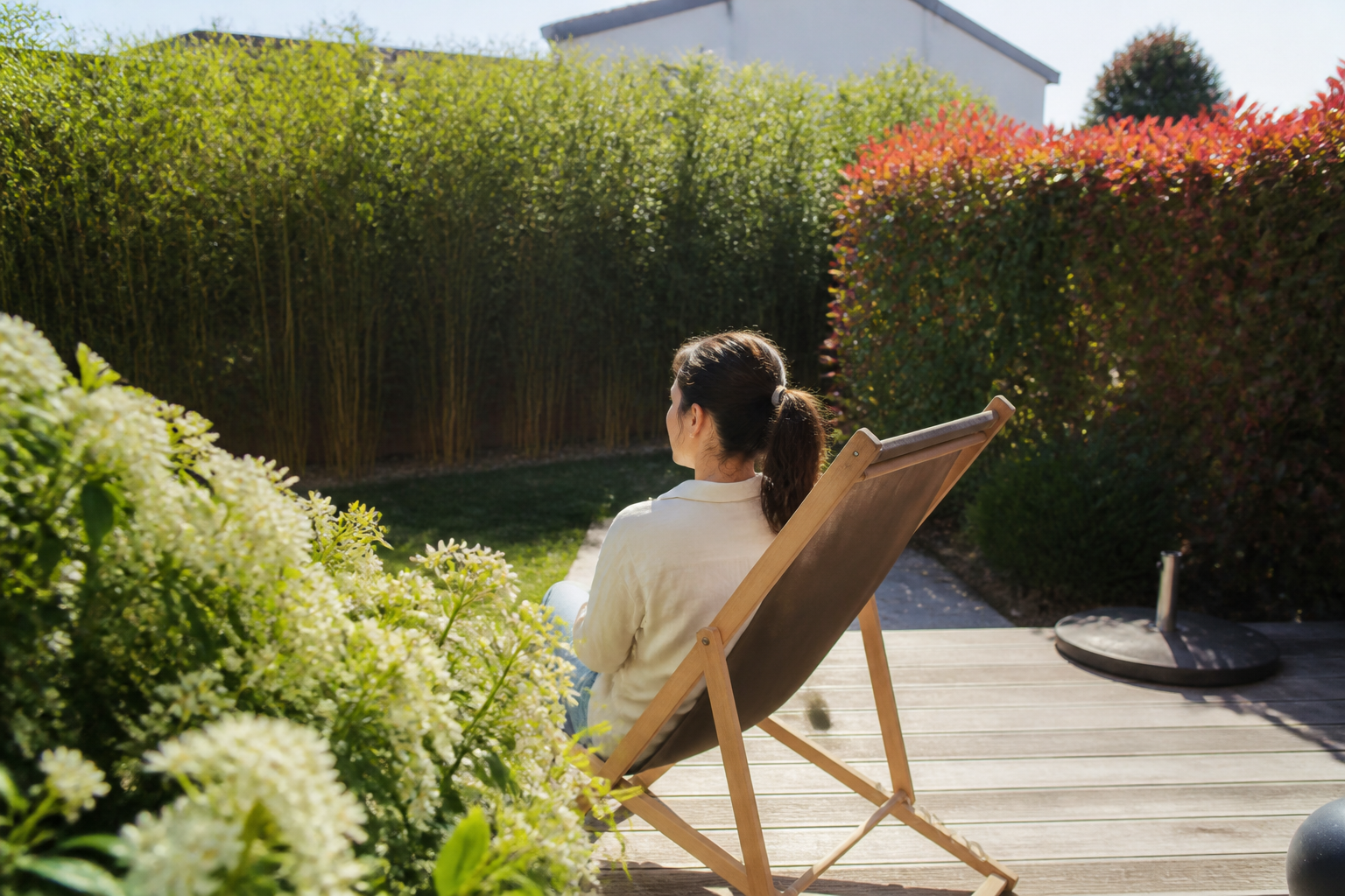 Brise-vue jardin naturel : quelles plantes choisir pour cacher un vis-à-vis