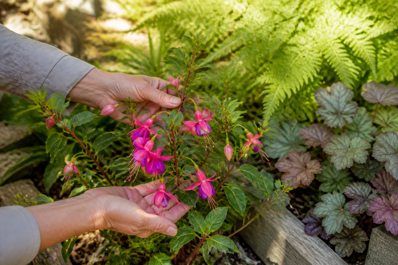 Fleurs en F : 10 variétés à connaître pour vos massifs