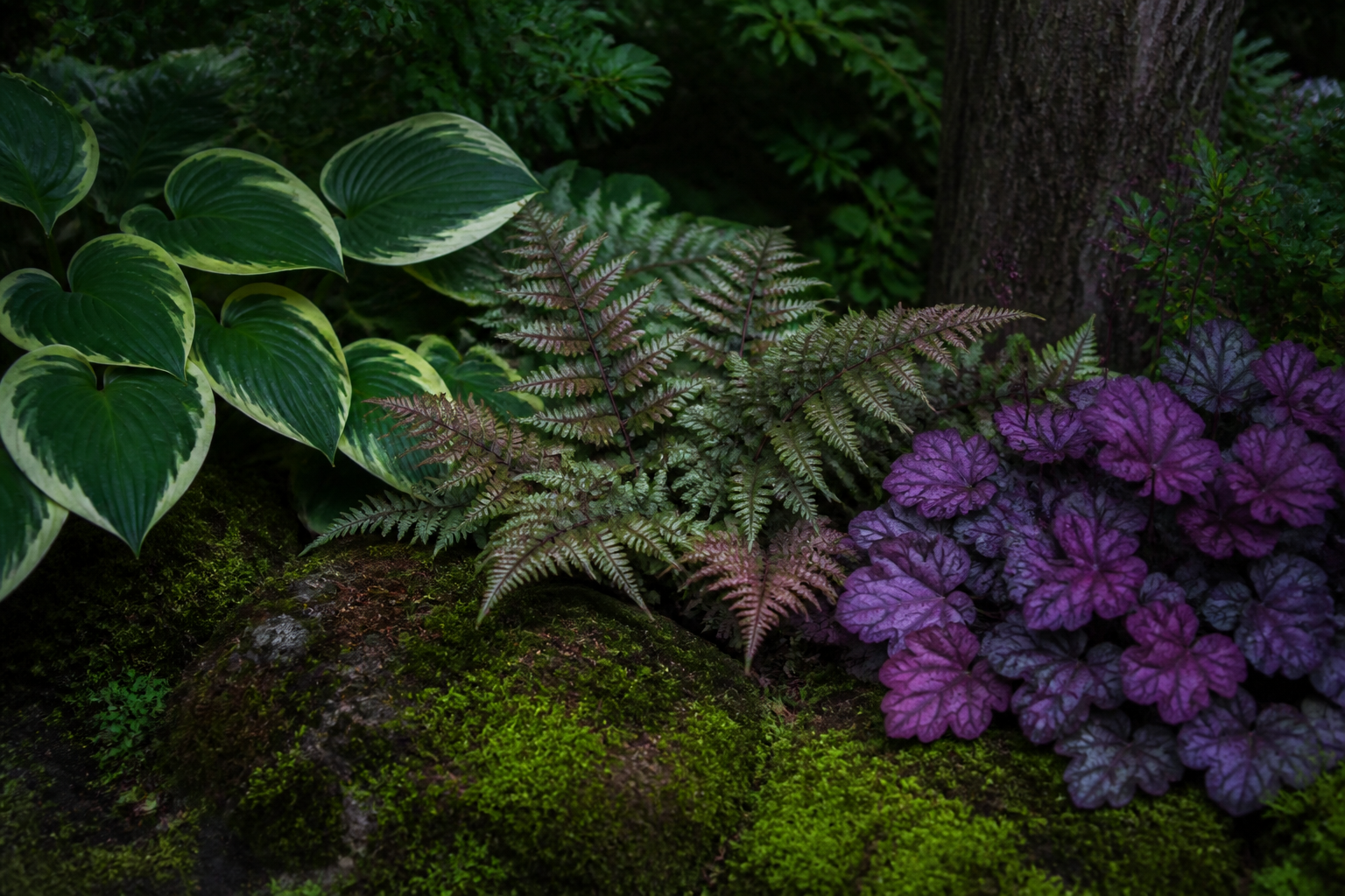 Plante d’ombre persistant : les choix les plus décoratifs toute l’année